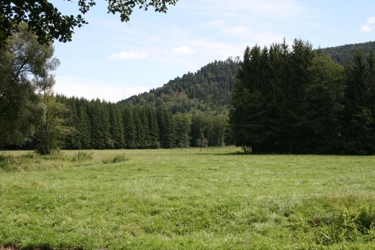 Notre Cachette Bed and Breakfast Biffontaine Exteriör bild